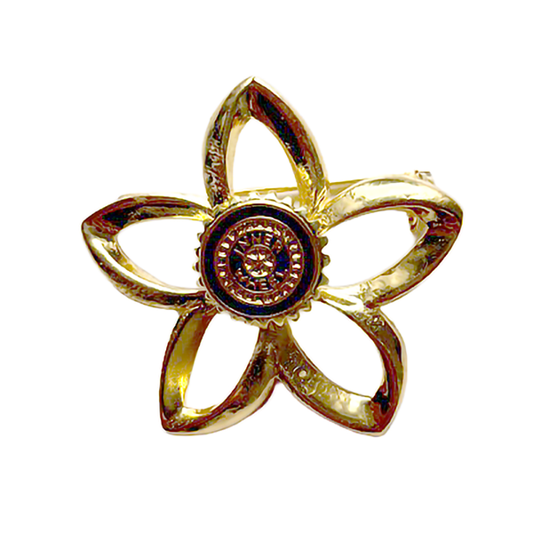 festliche Brosche, goldfarben
